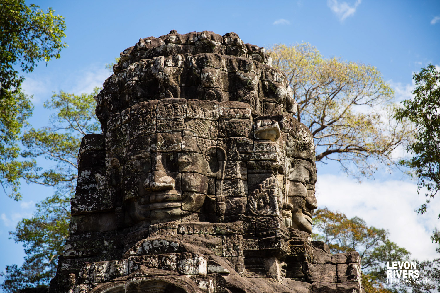 Bayon Jungle