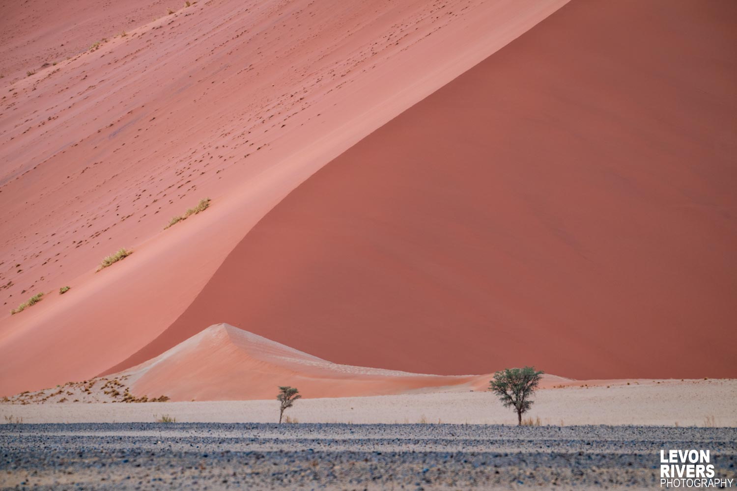 Colour Of Namibia