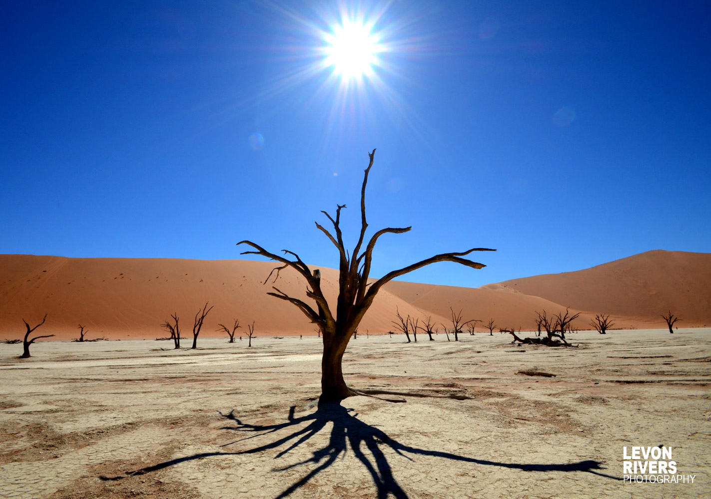 Dead Sun