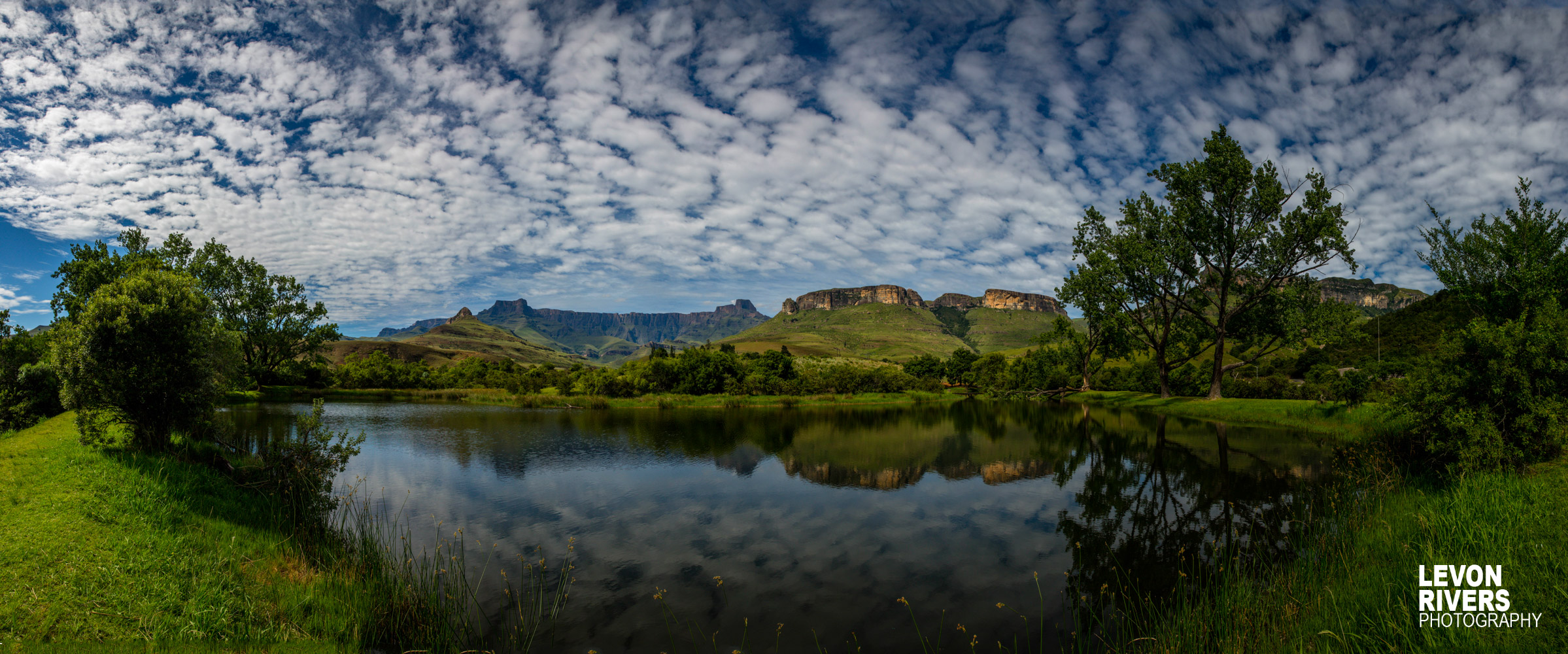 Green Reflection