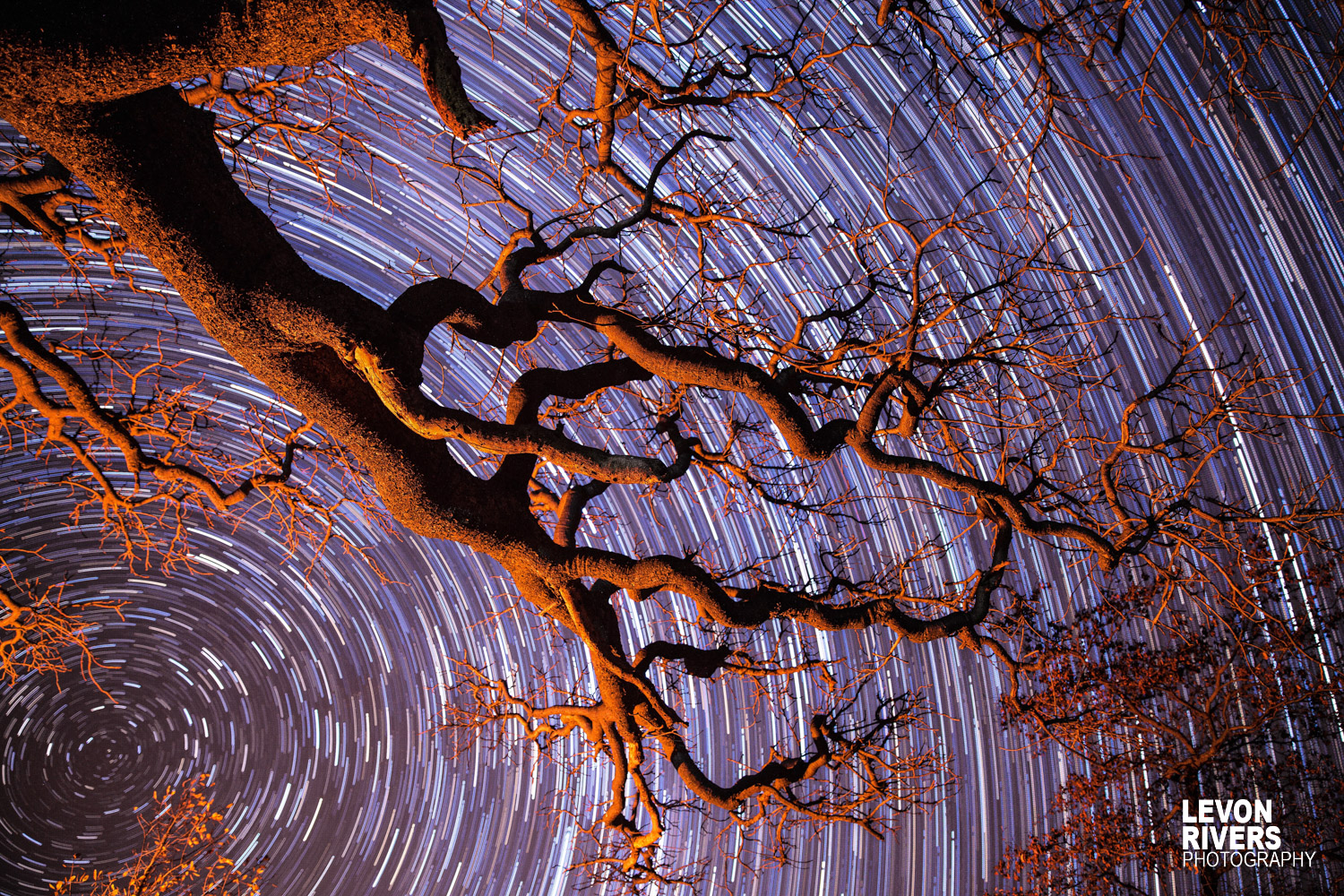 Firetrail