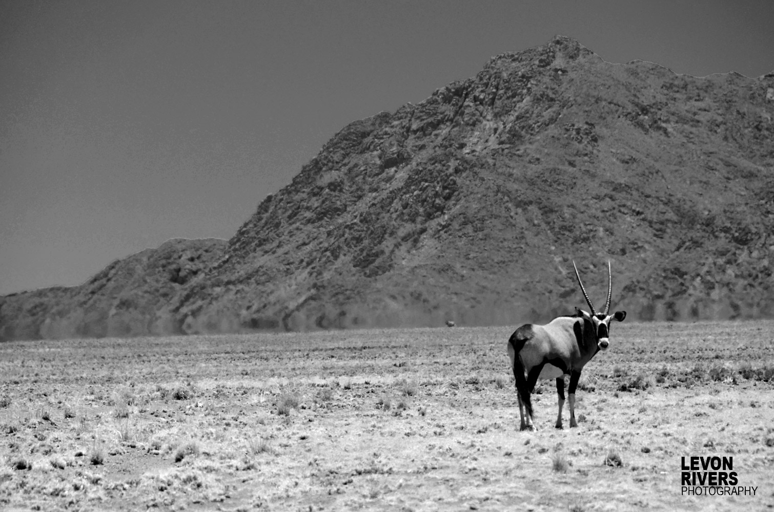 Mountain & Gemsbok