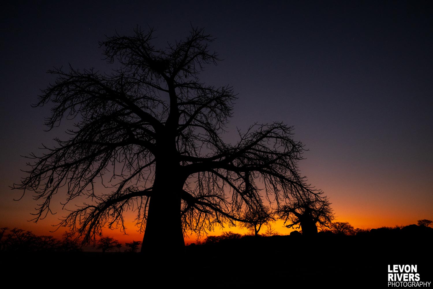 Giant Sunrise