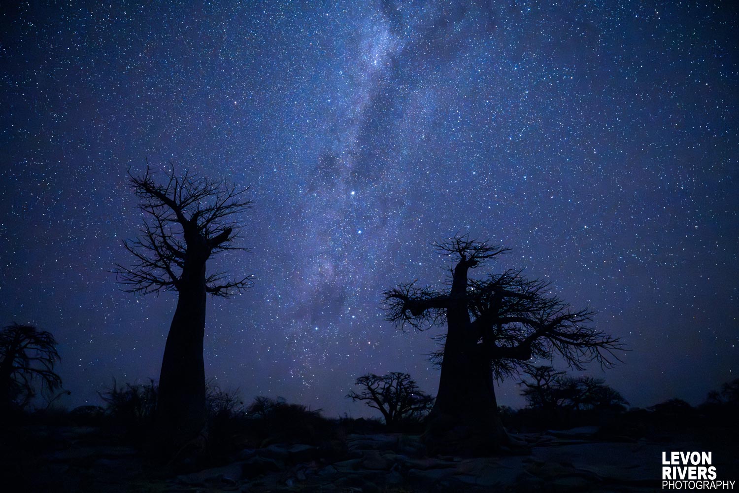 Giants Of The Skies