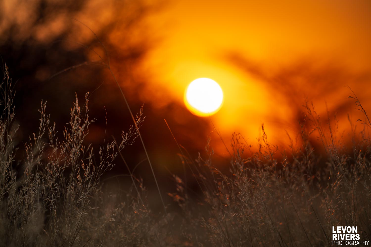 Golden Hour