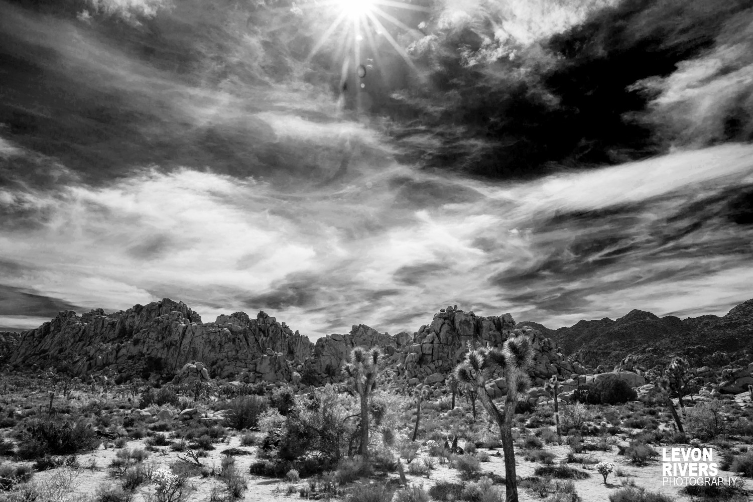Alien Landscape