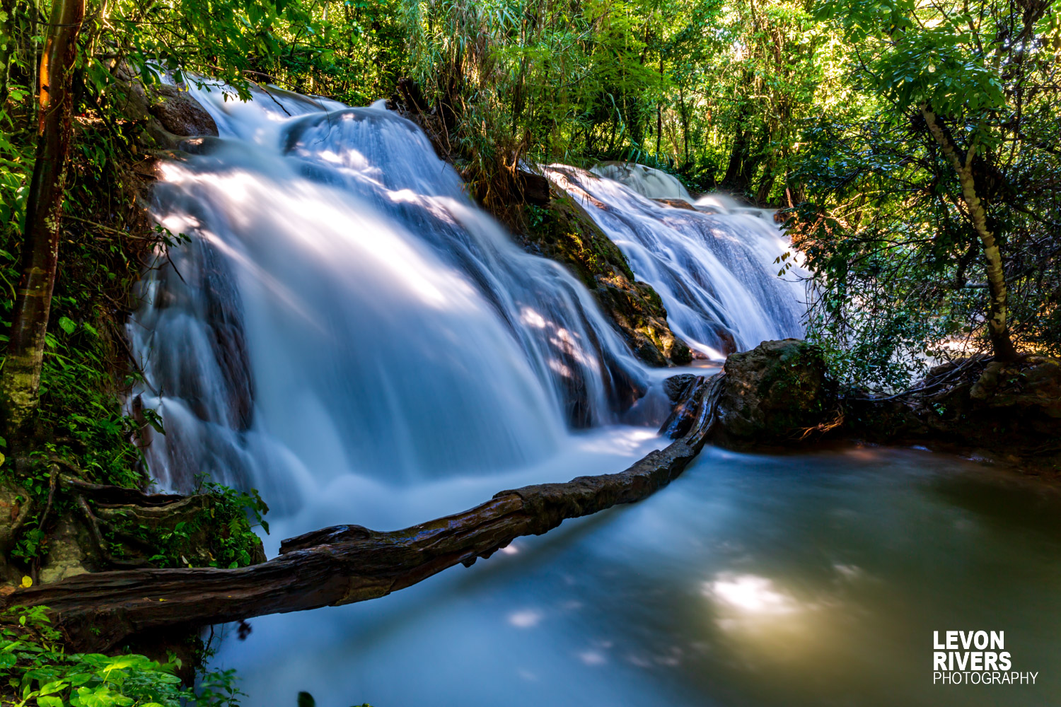 Jungle Waterfall