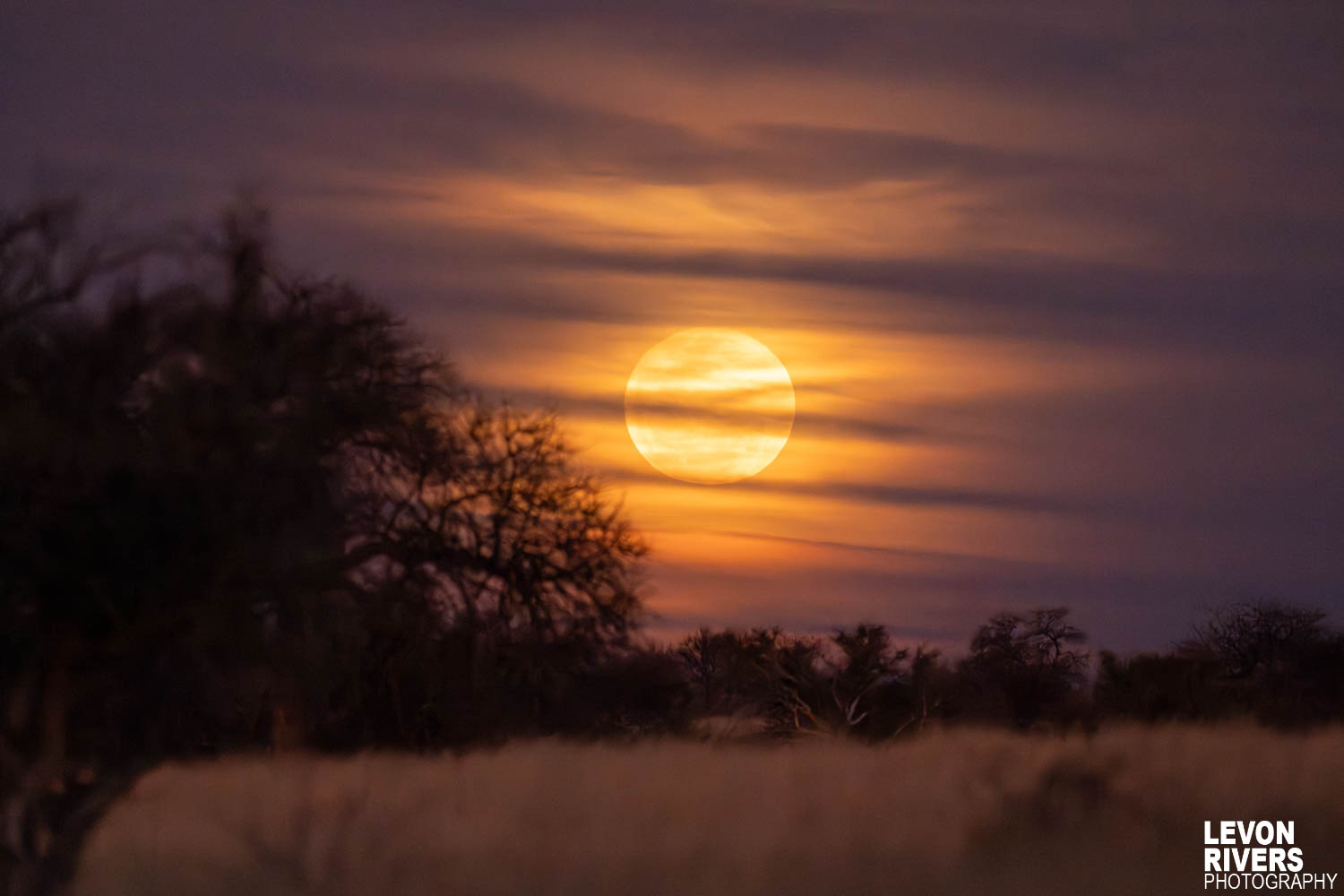 Kgalagadi Rise