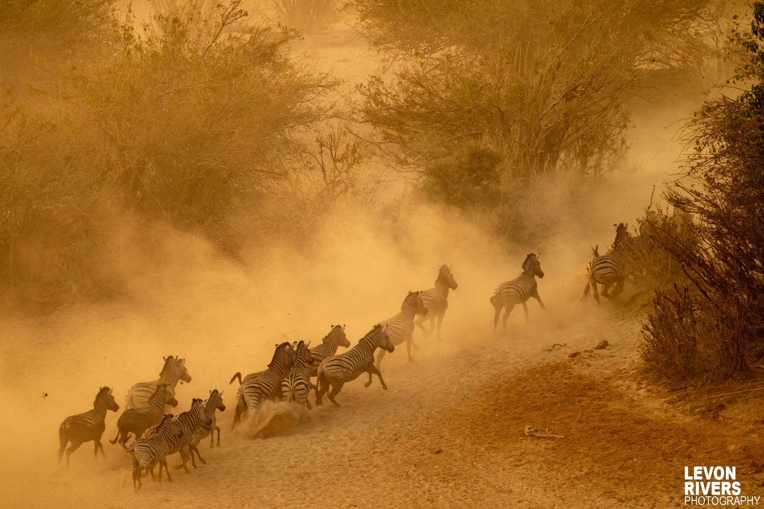 Migration