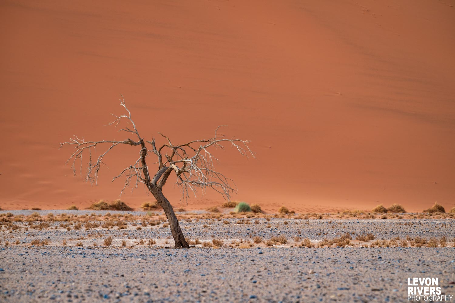 Namibian Desert
