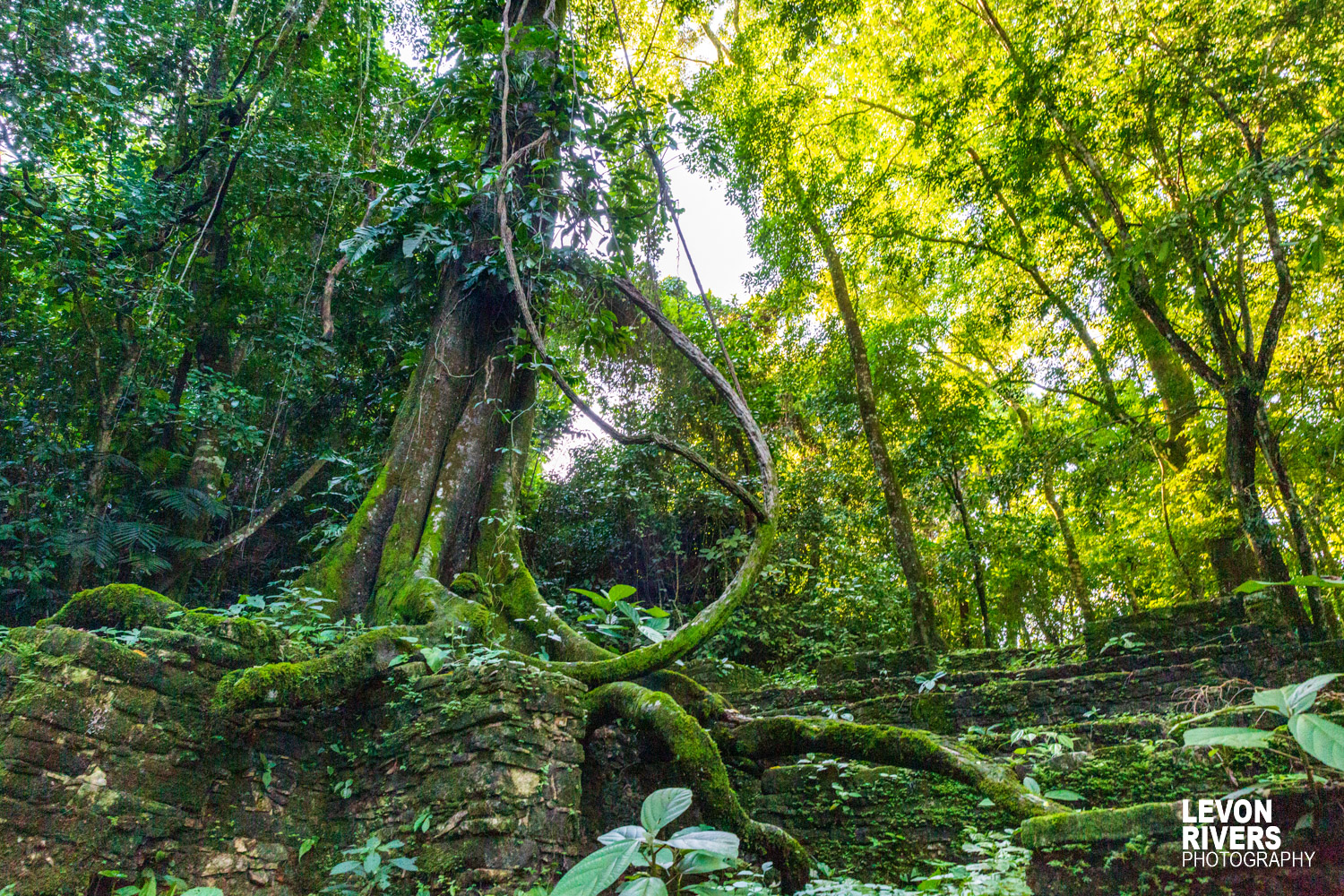 Palenque Ruins