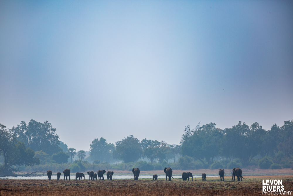 Place Of The Elephants