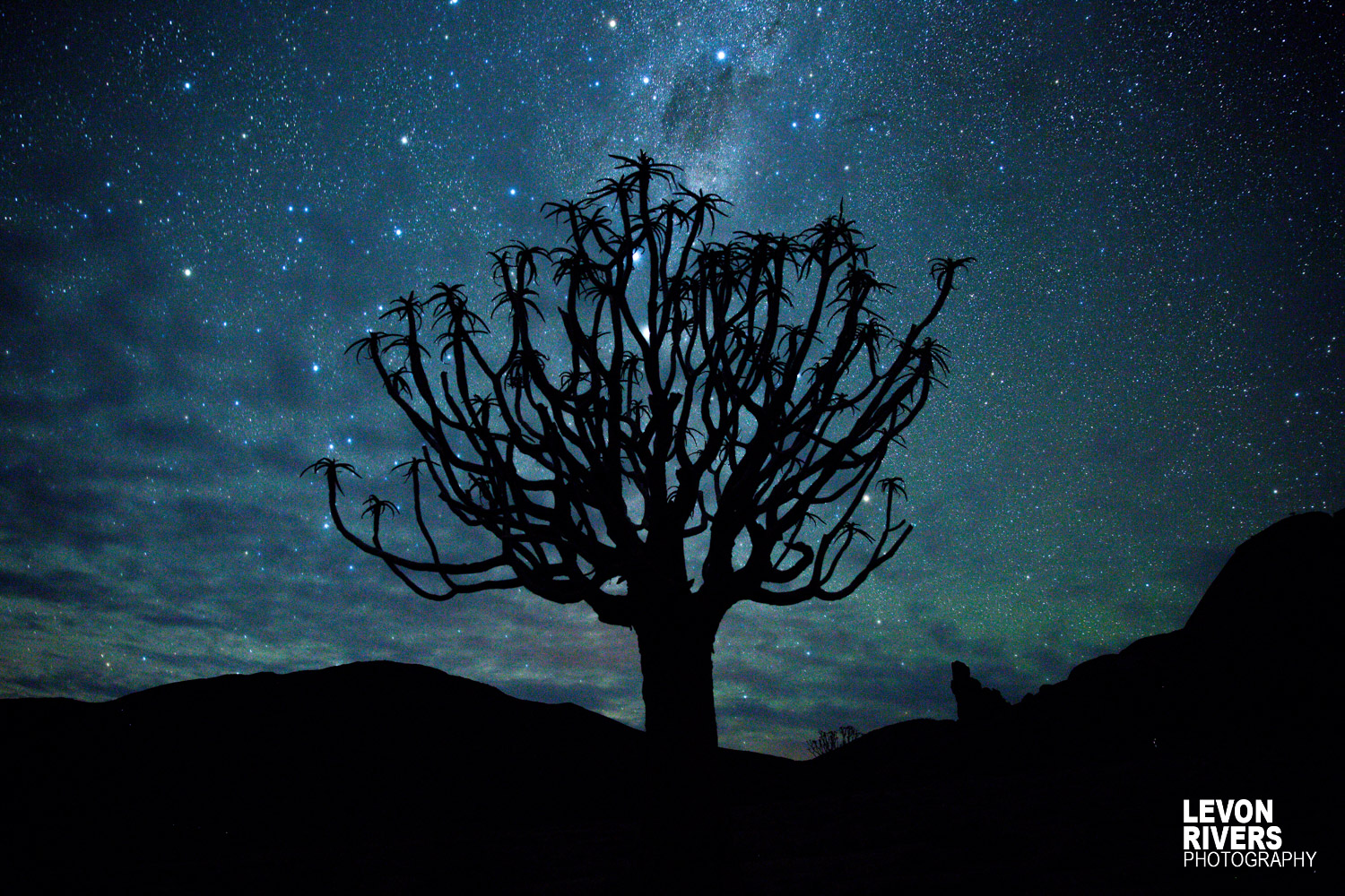 Quiver Stars