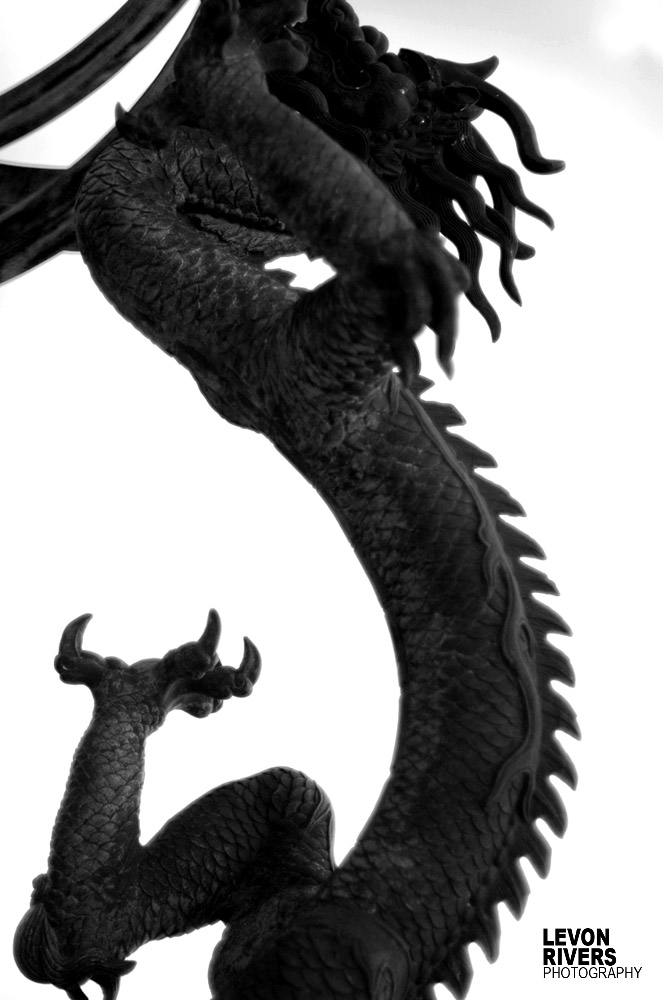 Rising Dragon