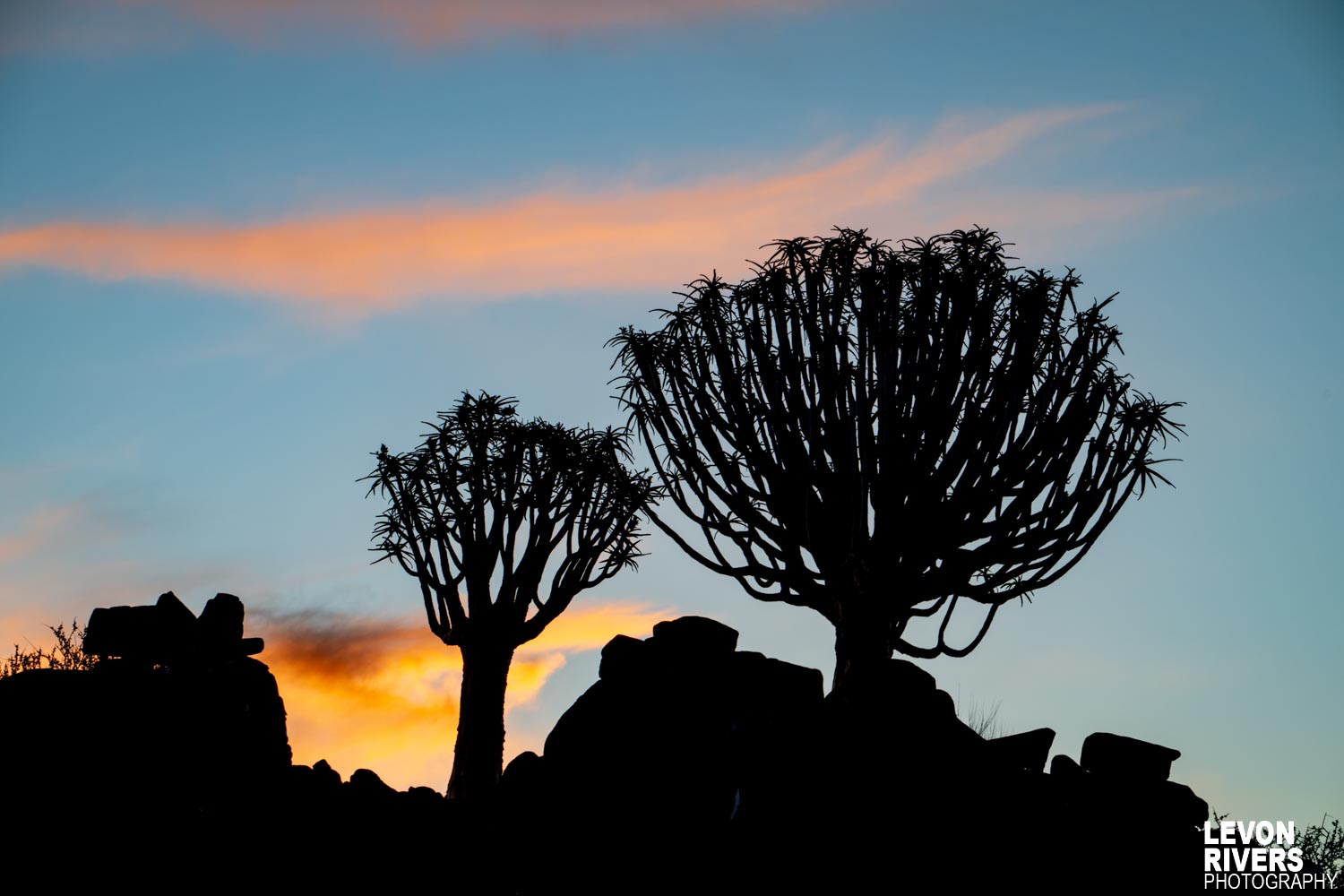 Silhouette