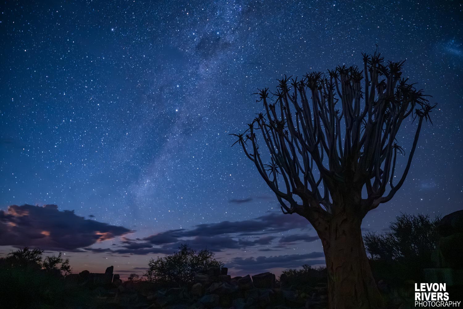Skywatchers