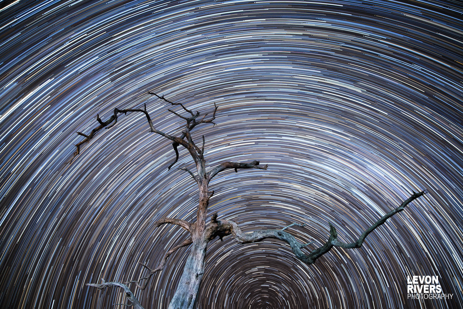 Starlight