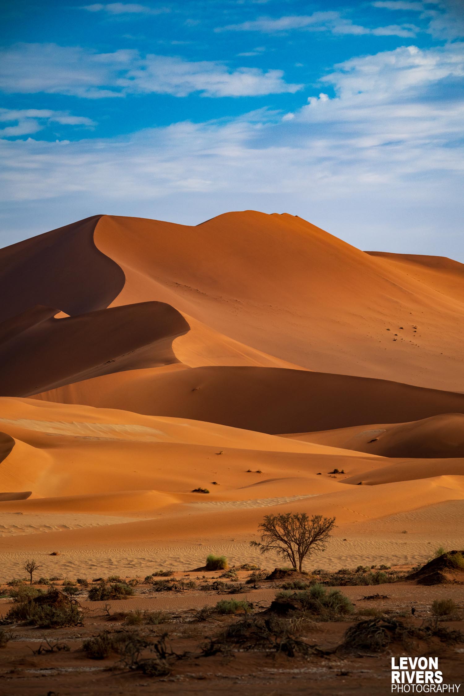 Deserts