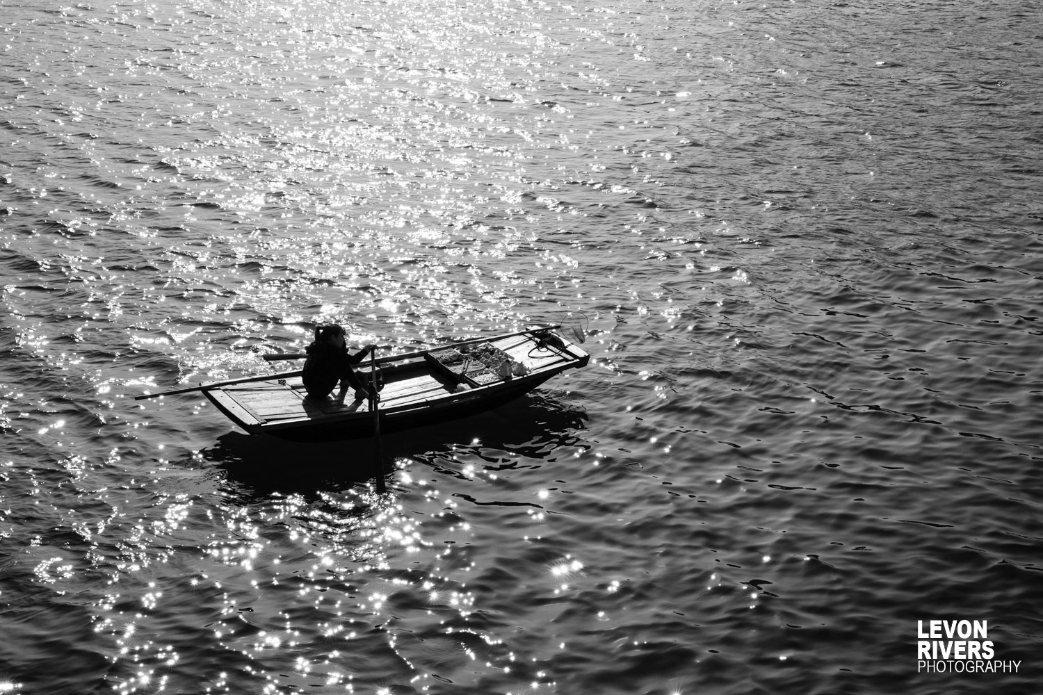 Sun Fishing