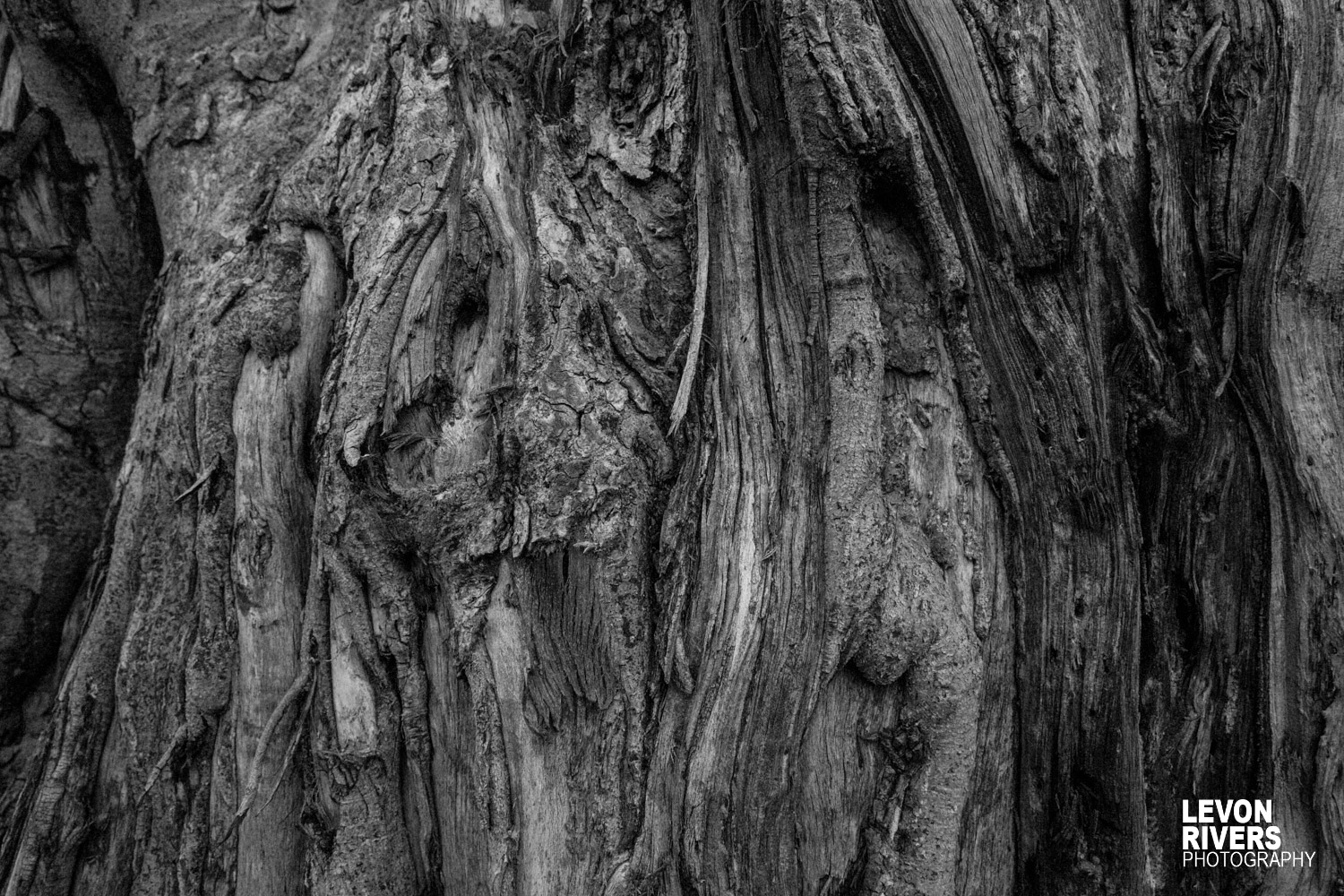 Texture