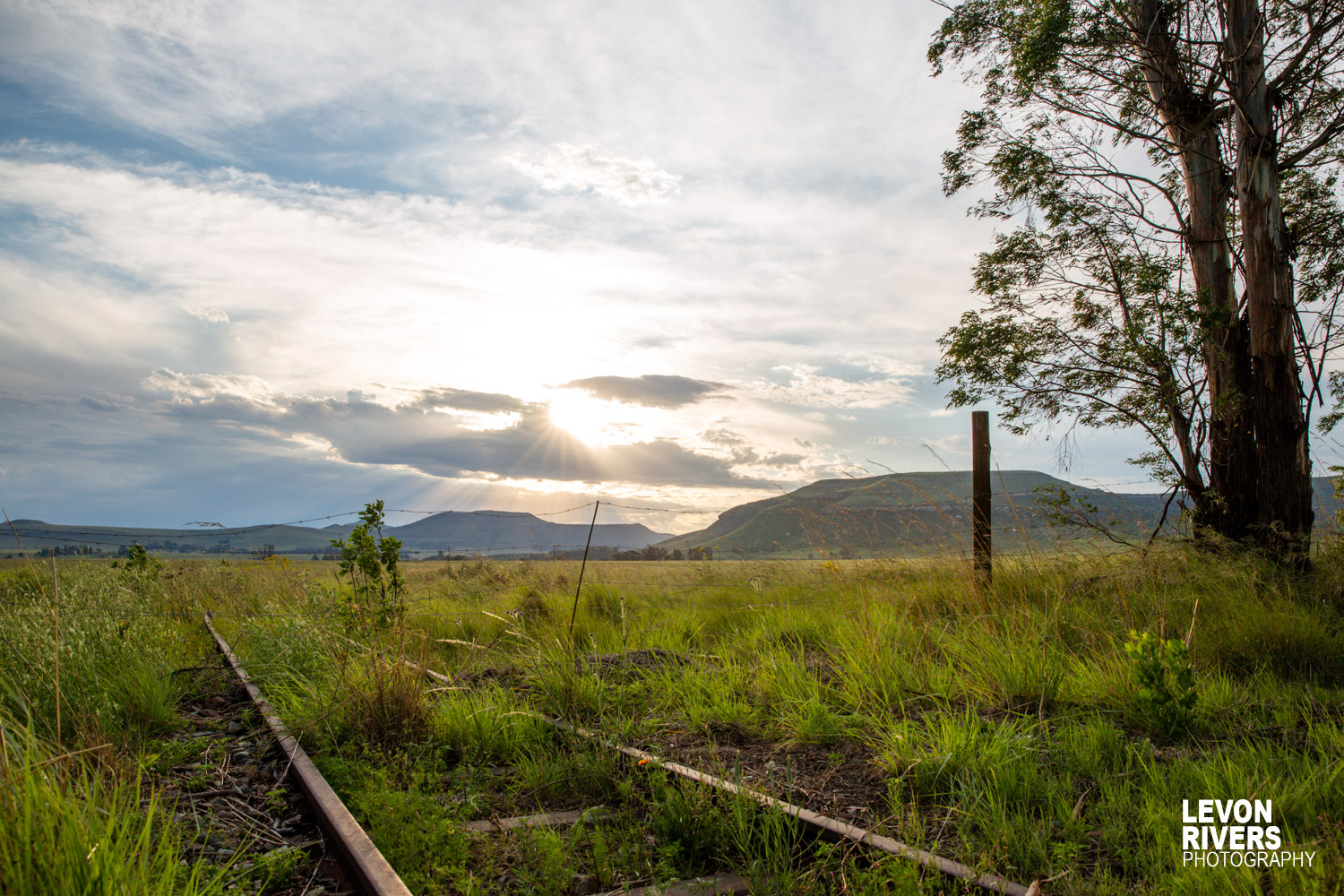 Train To Nowhere