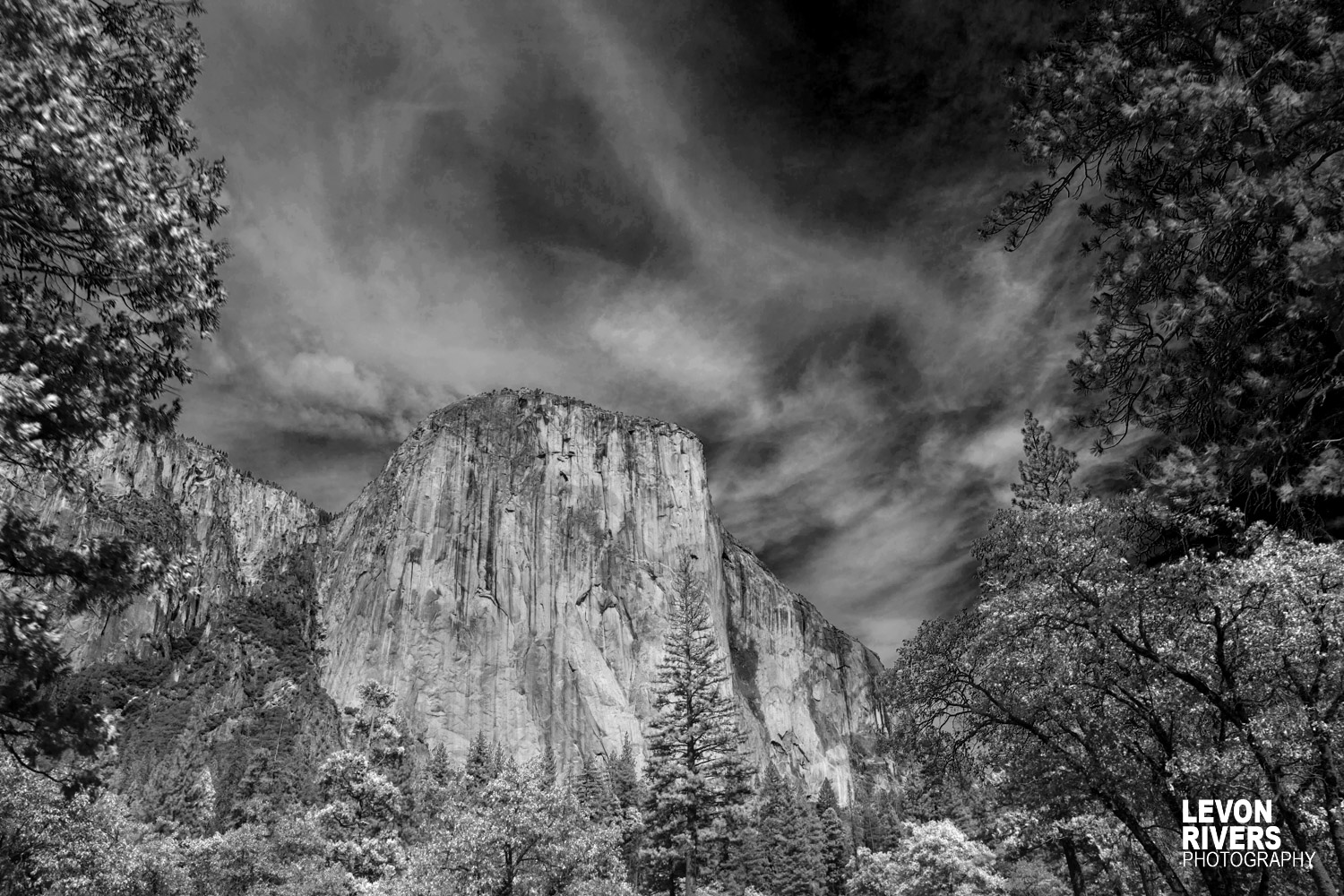 Mountain Through The Trees